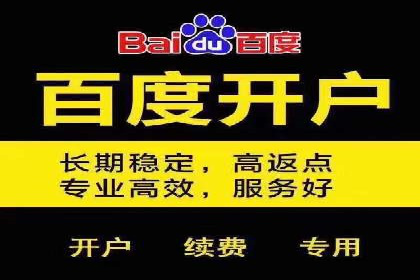 案例解读：网络推广与竞价策略